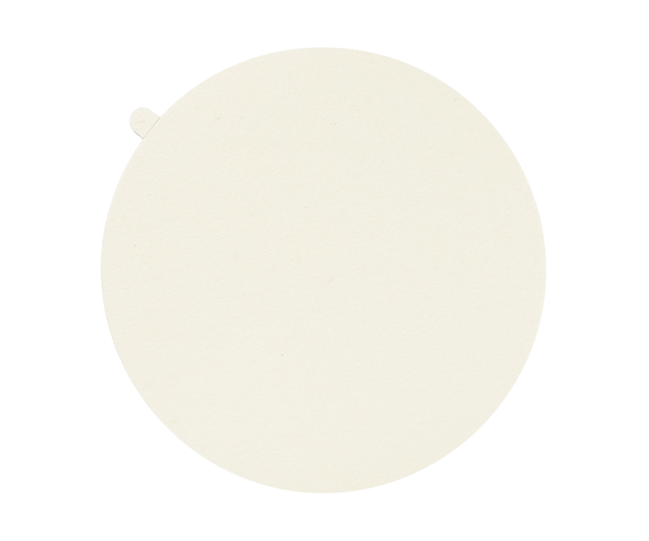 OP Felt, 250 mm. de diámetro (5 pzas.)
